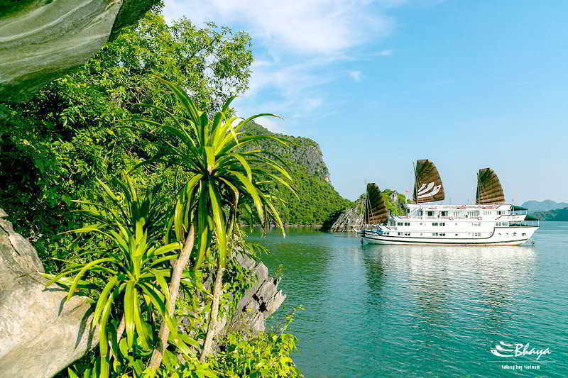 Bhaya Classic Cruises Ha Long Exterior foto
